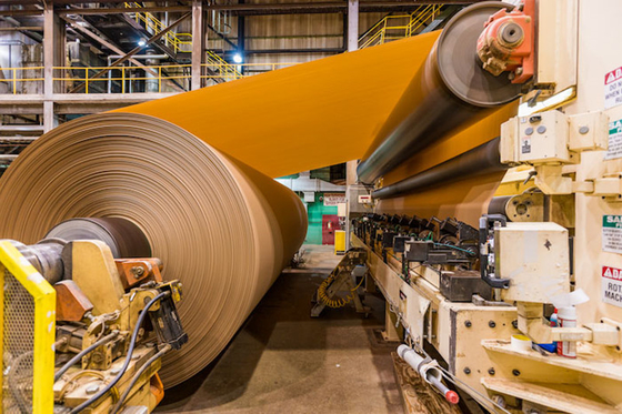 Machine ondulée de fabrication de papier de 1575 millimètres chaîne de production de petit pain enorme 300gsm