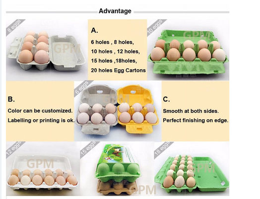 Équipement de production de conteneur de nourriture de Tray Egg Plate Thermocol Foam d'oeufs