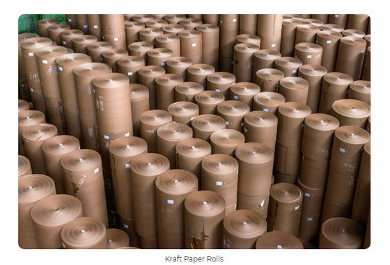 Ligne de tuyautage carton de production à la machine de papier d'emballage de déchets réutilisant le Fourdrinier